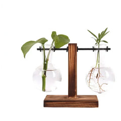 Hydroponic Plant Terrarium Glass Vase – Desktop Decoration for Home & Office