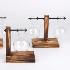 Hydroponic Plant Terrarium Glass Vase – Desktop Decoration for Home & Office