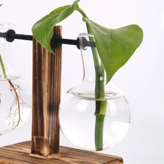 Hydroponic Plant Terrarium Glass Vase – Desktop Decoration for Home & Office
