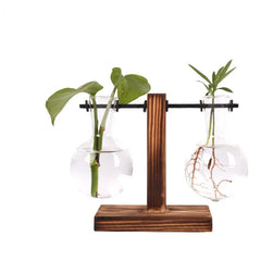 Hydroponic Plant Terrarium Glass Vase – Desktop Decoration for Home & Office