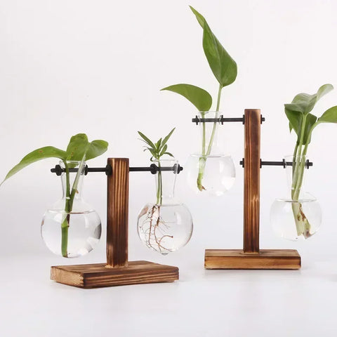 Hydroponic Plant Terrarium Glass Vase – Desktop Decoration for Home & Office