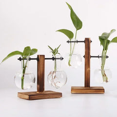 Hydroponic Plant Terrarium Glass Vase – Desktop Decoration for Home & Office