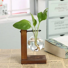 Hydroponic Plant Terrarium Glass Vase – Desktop Decoration for Home & Office