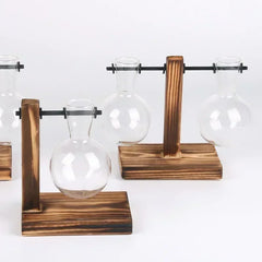 Hydroponic Plant Terrarium Glass Vase – Desktop Decoration for Home & Office