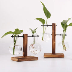 Hydroponic Plant Terrarium Glass Vase – Desktop Decoration for Home & Office