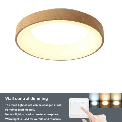 Minimalist Round LED Ceiling Lamp