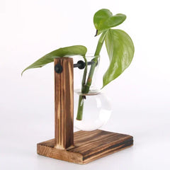 Hydroponic Plant Terrarium Glass Vase – Desktop Decoration for Home & Office