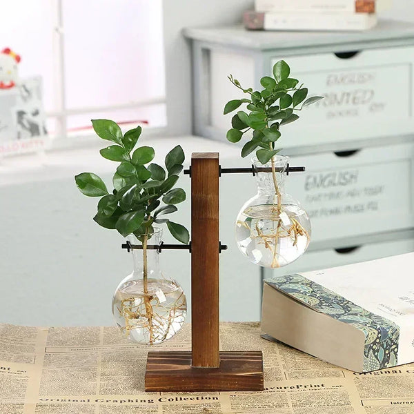 Hydroponic Plant Terrarium Glass Vase – Desktop Decoration for Home & Office