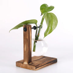Hydroponic Plant Terrarium Glass Vase – Desktop Decoration for Home & Office