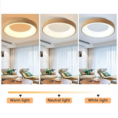 Minimalist Round LED Ceiling Lamp