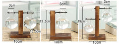Hydroponic Plant Terrarium Glass Vase – Desktop Decoration for Home & Office