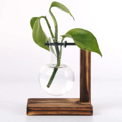 Hydroponic Plant Terrarium Glass Vase – Desktop Decoration for Home & Office