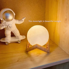 DIY Hand-Painted Moon Night Light Kit