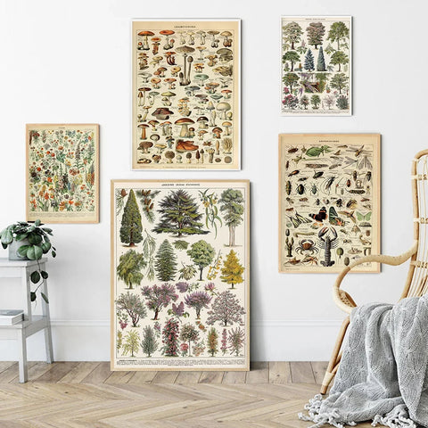 Adolphe Millot Vintage Encyclopedia Prints – Botanical & Insect Wall Art Canvas